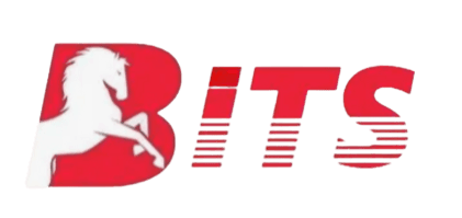 Home - BiTS Managed IT Solutions