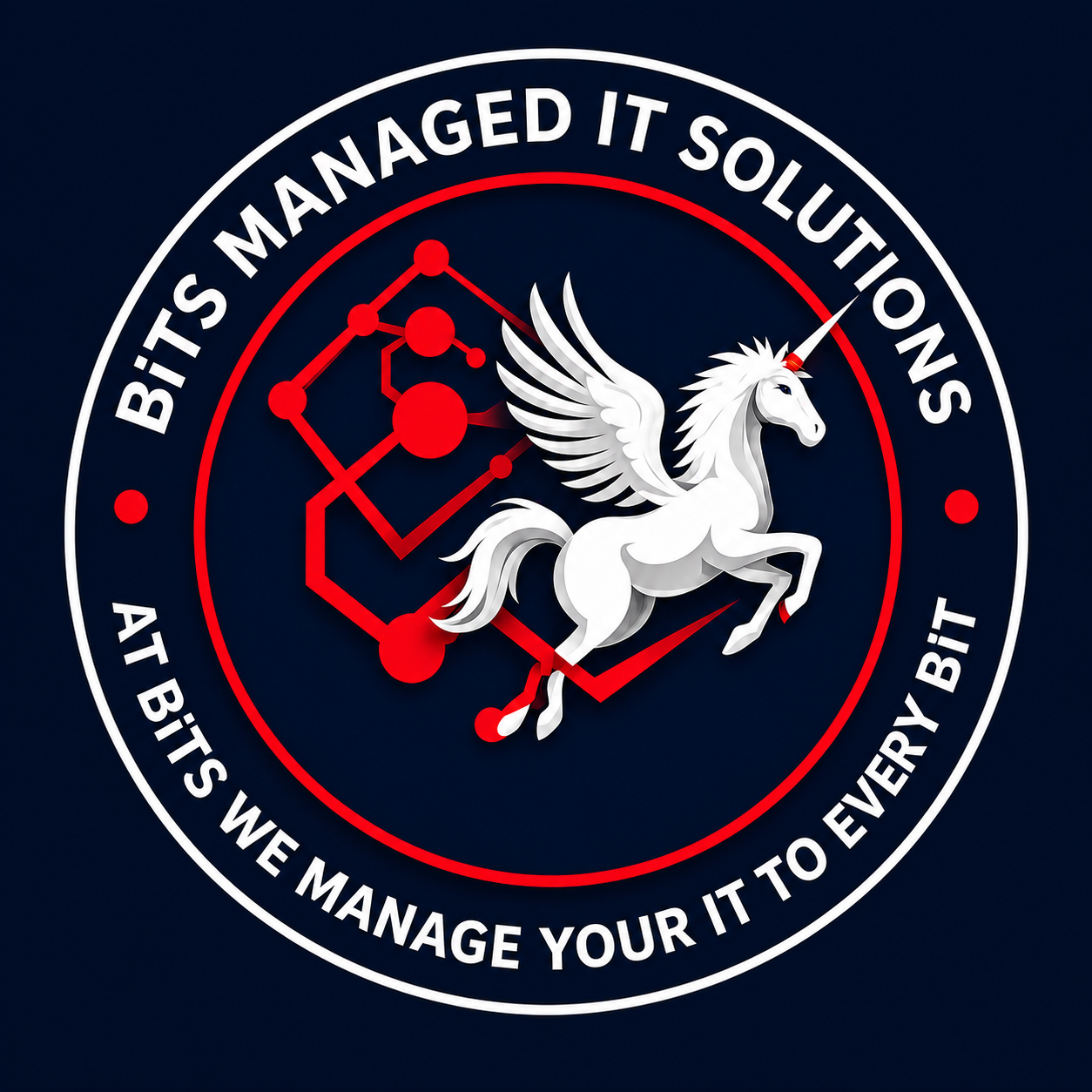 BiTS Managed IT Solutions